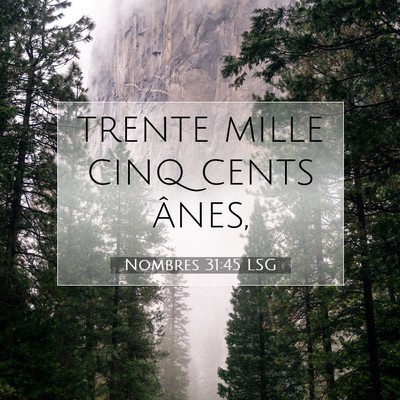 Picture 07 - Nombres 31:45 LSG - trente mille cinq cents - Bible Verse Picture