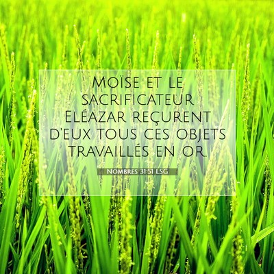 Picture 07 - Nombres 31:51 LSG - Moïse et le sacrificateur Eléazar reçurent - Bible Verse Picture