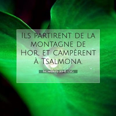 Picture 07 - Nombres 33:41 LSG - Ils partirent de la montagne de Hor, et - Bible Verse Picture