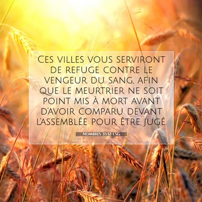 Picture 07 - Nombres 35:12 LSG - Ces villes vous serviront de refuge contre le - Bible Verse Picture