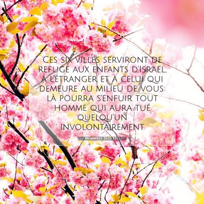 Picture 07 - Nombres 35:15 LSG - Ces six villes serviront de refuge aux enfants - Bible Verse Picture