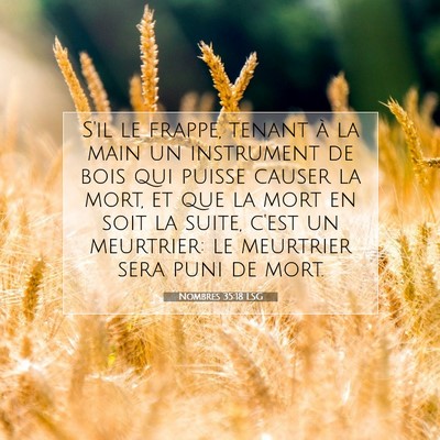 Picture 07 - Nombres 35:18 LSG - S'il le frappe, tenant à la main un instrument - Bible Verse Picture