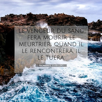 Picture 07 - Nombres 35:19 LSG - Le vengeur du sang fera mourir le meurtrier; - Bible Verse Picture