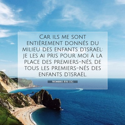 Picture 07 - Nombres 8:16 LSG - Car ils me sont entièrement donnés du milieu - Bible Verse Picture
