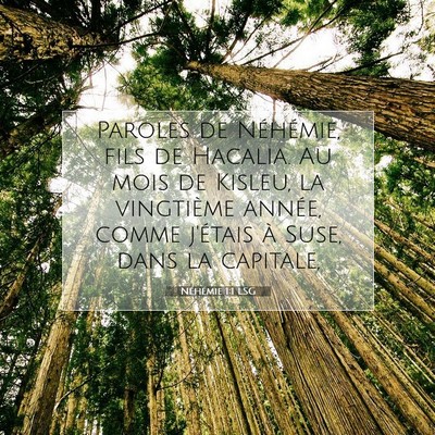 Picture 07 - Néhémie 1:1 LSG - Paroles de Néhémie, fils de Hacalia. Au mois de - Bible Verse Picture