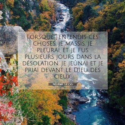 Picture 07 - Néhémie 1:4 LSG - Lorsque j'entendis ces choses, je m'assis, je - Bible Verse Picture
