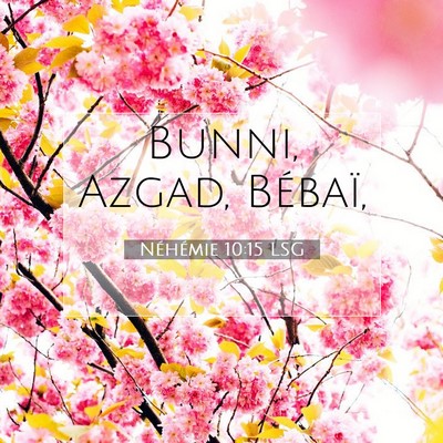 Picture 07 - Néhémie 10:15 LSG - Bunni, Azgad, - Bible Verse Picture