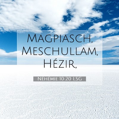 Picture 07 - Néhémie 10:20 LSG - Magpiasch, Meschullam, - Bible Verse Picture