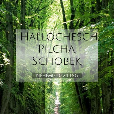 Picture 07 - Néhémie 10:24 LSG - Hallochesch, Pilcha, - Bible Verse Picture