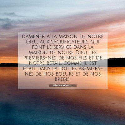 Picture 07 - Néhémie 10:36 LSG - d'amener à la maison de notre Dieu, aux - Bible Verse Picture
