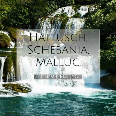 Picture 07 - Néhémie 10:4 LSG - Hattusch, Schebania, - Bible Verse Picture
