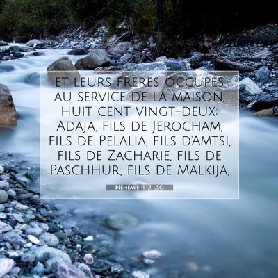 Picture 07 - Néhémie 11:12 LSG - et leurs frères occupés au service de la - Bible Verse Picture