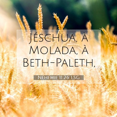 Picture 07 - Néhémie 11:26 LSG - Jéschua, à Molada, à - Bible Verse Picture