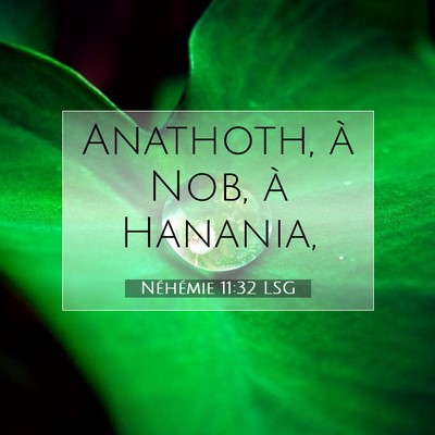 Picture 07 - Néhémie 11:32 LSG - Anathoth, à Nob, à - Bible Verse Picture