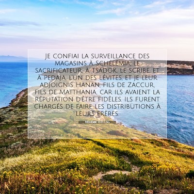 Picture 07 - Néhémie 13:13 LSG - Je confiai la surveillance des magasins à - Bible Verse Picture