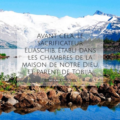 Picture 07 - Néhémie 13:4 LSG - Avant cela, le sacrificateur Eliaschib, établi - Bible Verse Picture