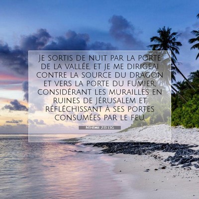 Picture 07 - Néhémie 2:13 LSG - Je sortis de nuit par la porte de la vallée, et - Bible Verse Picture