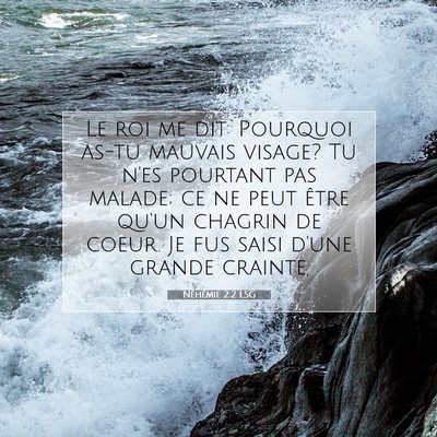 Picture 07 - Néhémie 2:2 LSG - Le roi me dit: Pourquoi as-tu mauvais visage? Tu - Bible Verse Picture