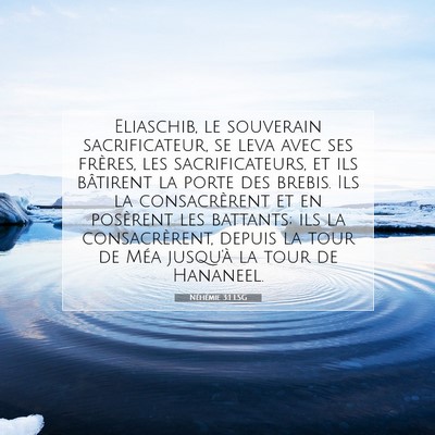 Picture 07 - Néhémie 3:1 LSG - Eliaschib, le souverain sacrificateur, se leva - Bible Verse Picture