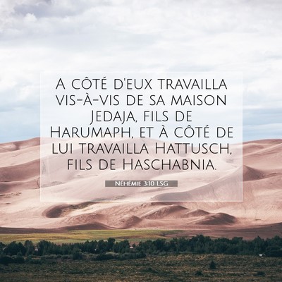 Picture 07 - Néhémie 3:10 LSG - A côté d'eux travailla vis-à-vis de sa maison - Bible Verse Picture