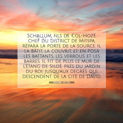 Picture 07 - Néhémie 3:15 LSG - Schallum, fils de Col-Hozé, chef du district de - Bible Verse Picture