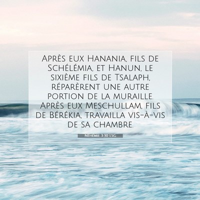 Picture 07 - Néhémie 3:30 LSG - Après eux Hanania, fils de Schélémia, et - Bible Verse Picture