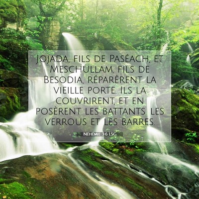 Picture 07 - Néhémie 3:6 LSG - Jojada, fils de Paséach, et Meschullam, fils de - Bible Verse Picture