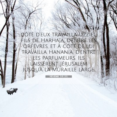 Picture 07 - Néhémie 3:8 LSG - côté d'eux travailla Uzziel, fils de Harhaja, - Bible Verse Picture