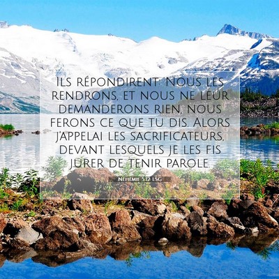Picture 07 - Néhémie 5:12 LSG - Ils répondirent: Nous les rendrons, et nous ne - Bible Verse Picture