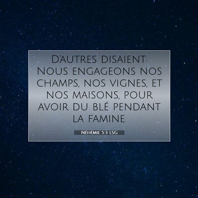 Picture 07 - Néhémie 5:3 LSG - D'autres disaient: Nous engageons nos champs, nos - Bible Verse Picture