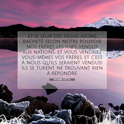 Picture 07 - Néhémie 5:8 LSG - et je leur dis: Nous avons racheté selon notre - Bible Verse Picture