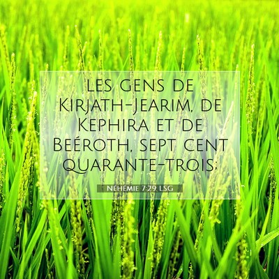 Picture 07 - Néhémie 7:29 LSG - les gens de Kirjath-Jearim, de Kephira et de - Bible Verse Picture