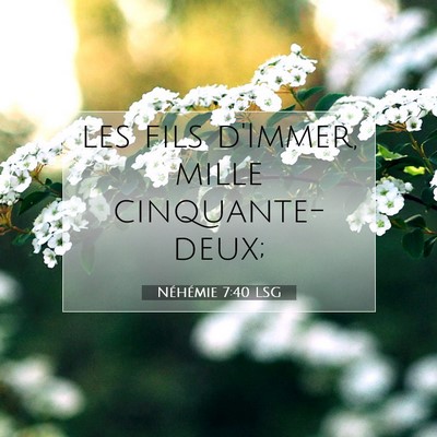Picture 07 - Néhémie 7:40 LSG - les fils d'Immer, mille - Bible Verse Picture
