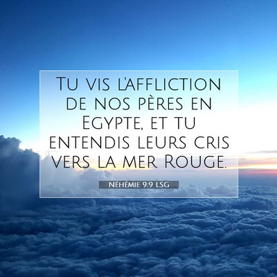 Picture 07 - Néhémie 9:9 LSG - Tu vis l'affliction de nos pères en Egypte, et - Bible Verse Picture