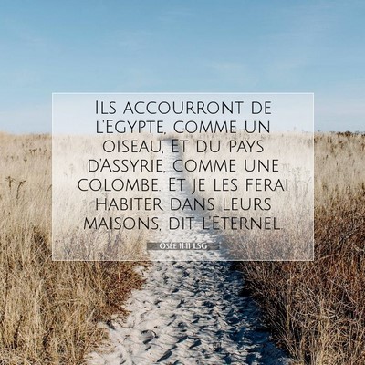 Picture 07 - Osée 11:11 LSG - Ils accourront de l'Egypte, comme un oiseau, Et - Bible Verse Picture