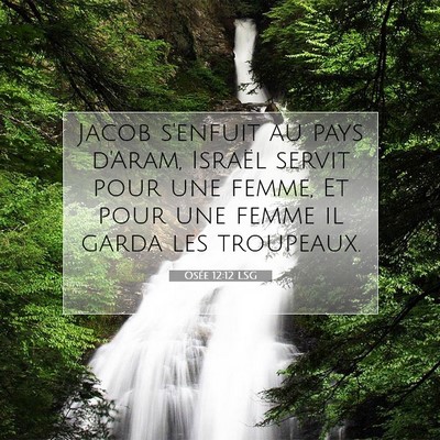 Picture 07 - Osée 12:12 LSG - Jacob s'enfuit au pays d'Aram, Israël servit - Bible Verse Picture