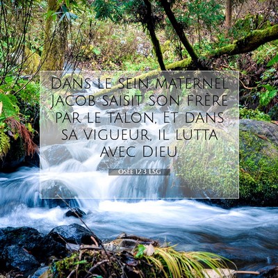 Picture 07 - Osée 12:3 LSG - Dans le sein maternel Jacob saisit son frère par - Bible Verse Picture