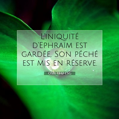 Picture 07 - Osée 13:12 LSG - L'iniquité d'Ephraïm est gardée, Son péché - Bible Verse Picture