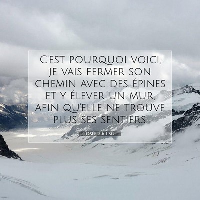 Picture 07 - Osée 2:6 LSG - C'est pourquoi voici, je vais fermer son chemin - Bible Verse Picture