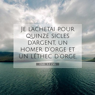 Picture 07 - Osée 3:2 LSG - Je l'achetai pour quinze sicles d'argent, un - Bible Verse Picture