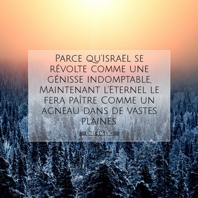 Picture 07 - Osée 4:16 LSG - Parce qu'Israël se révolte comme une génisse - Bible Verse Picture