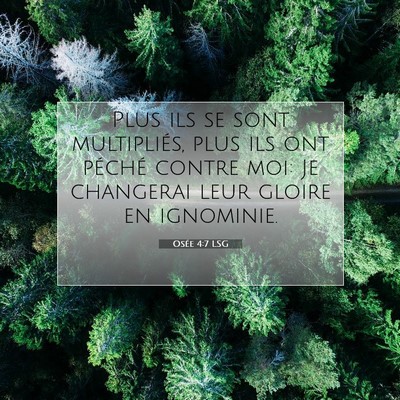 Picture 07 - Osée 4:7 LSG - Plus ils se sont multipliés, plus ils ont - Bible Verse Picture