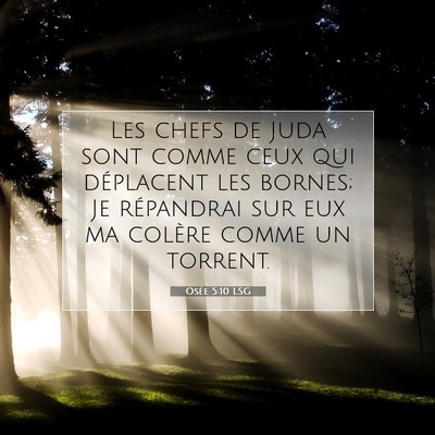 Picture 07 - Osée 5:10 LSG - Les chefs de Juda sont comme ceux qui déplacent - Bible Verse Picture