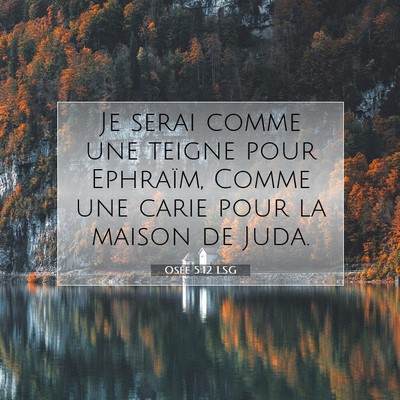 Picture 07 - Osée 5:12 LSG - Je serai comme une teigne pour Ephraïm, Comme - Bible Verse Picture