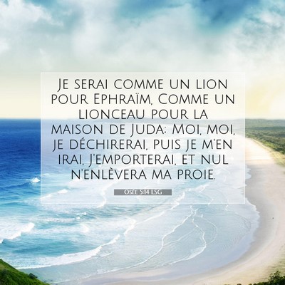 Picture 07 - Osée 5:14 LSG - Je serai comme un lion pour Ephraïm, Comme un - Bible Verse Picture