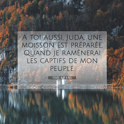 Picture 07 - Osée 6:11 LSG - A toi aussi, Juda, une moisson est préparée, - Bible Verse Picture