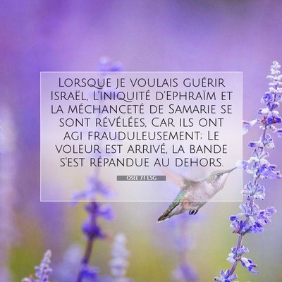 Picture 07 - Osée 7:1 LSG - Lorsque je voulais guérir Israël, L'iniquité - Bible Verse Picture