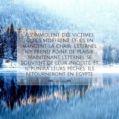 Picture 07 - Osée 8:13 LSG - Ils immolent des victimes qu'ils m'offrent, Et - Bible Verse Picture