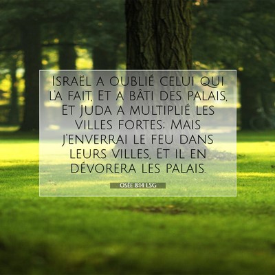 Picture 07 - Osée 8:14 LSG - Israël a oublié celui qui l'a fait, Et a bâti - Bible Verse Picture