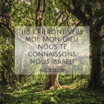 Picture 07 - Osée 8:2 LSG - Ils crieront vers moi: Mon Dieu, nous te - Bible Verse Picture